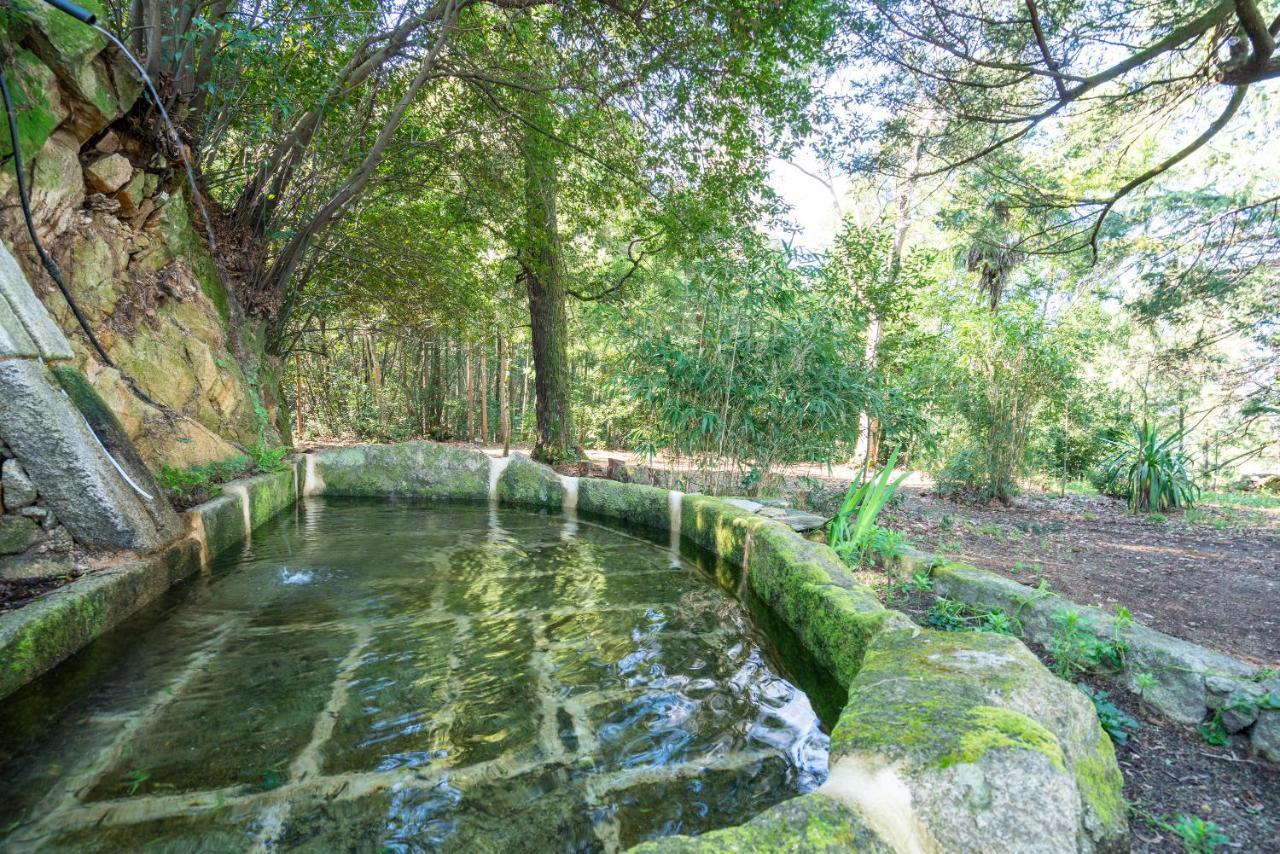 Quinta Lamas - Antiga Adega Vouzela